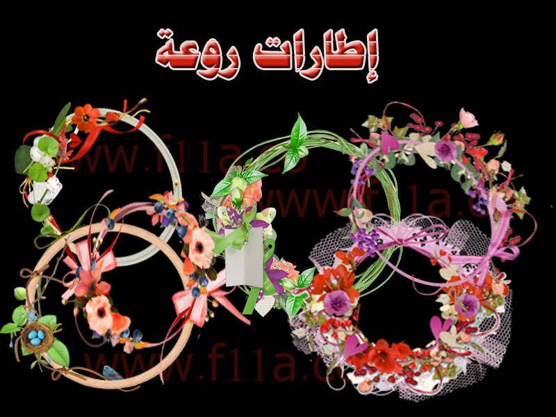 11834alsh3er.jpg