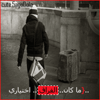 12754alsh3er.gif