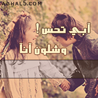 18944alsh3er.gif