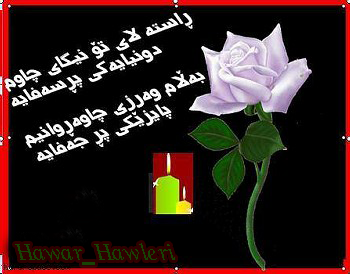 19493alsh3er.gif