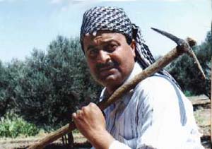 19899alsh3er.jpg