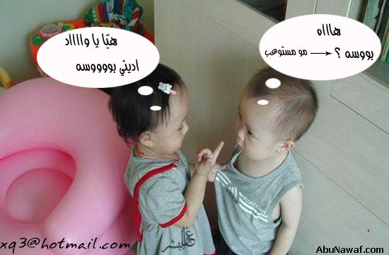 20374alsh3er.jpg