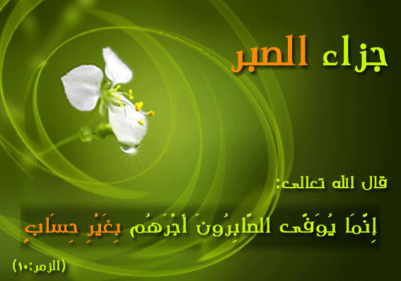 21311alsh3er.gif