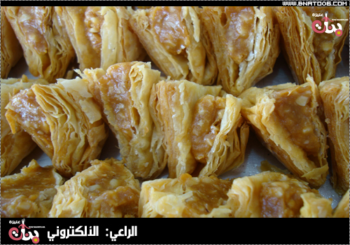 23088alsh3er.jpg