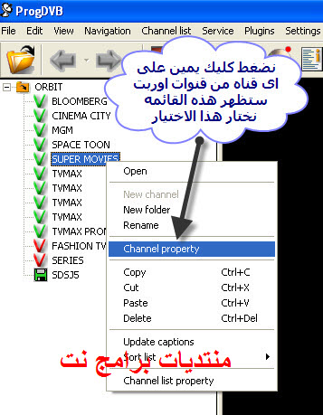 23565alsh3er.jpg
