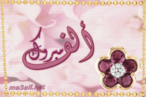 23652alsh3er.gif