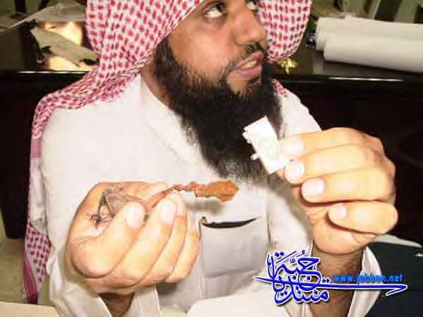 23823alsh3er.jpg