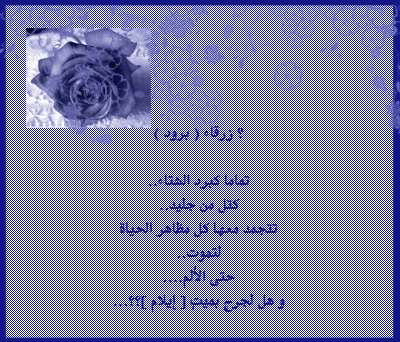 25385alsh3er.gif