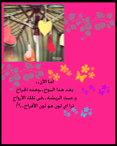25392alsh3er.gif