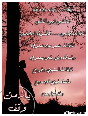 25517alsh3er.jpg