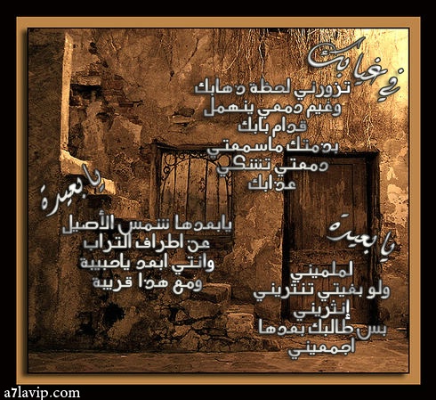 25520alsh3er.jpg