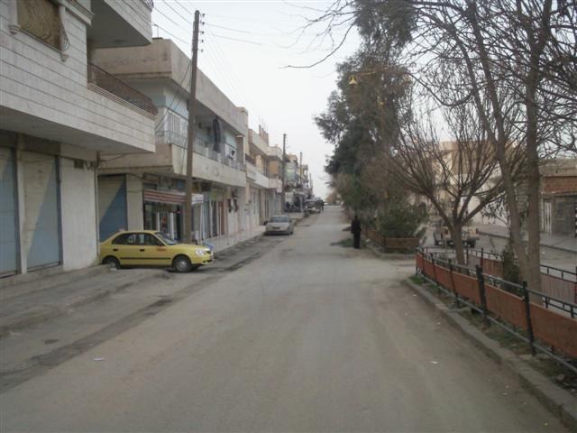 2555alsh3er.jpg