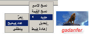 2576alsh3er.jpg