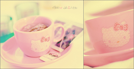 25906alsh3er.jpg