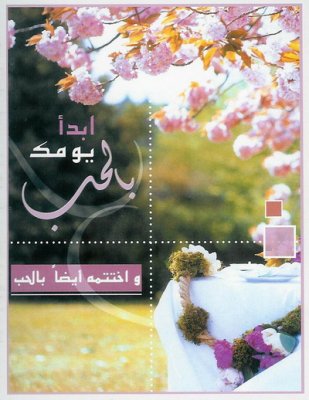 25907alsh3er.jpg