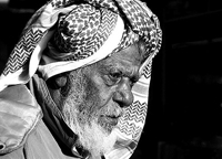 27888alsh3er.jpg