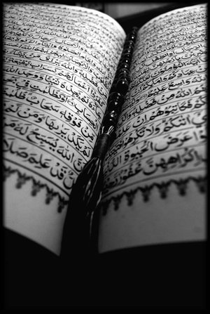 28057alsh3er.jpg