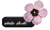 29401alsh3er.gif