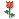 29407alsh3er.gif