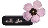 29409alsh3er.gif
