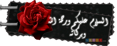 30094alsh3er.gif
