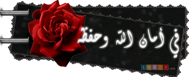 30095alsh3er.gif