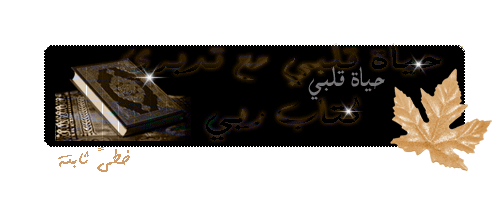 30097alsh3er.gif