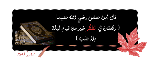 30099alsh3er.gif
