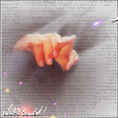 30370alsh3er.gif
