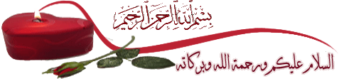 30520alsh3er.gif