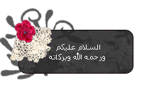 3136alsh3er.jpg