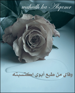 47189kobani.gif