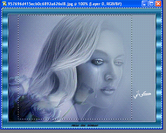 5298alsh3er.gif
