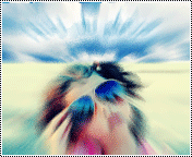 6707alsh3er.gif
