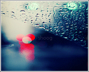 6717alsh3er.gif