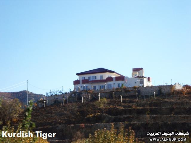 8230alsh3er.jpg