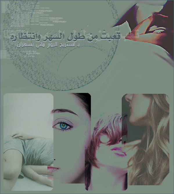 8339alsh3er.gif