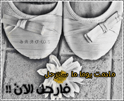 8670alsh3er.gif