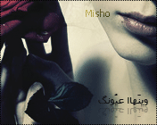 8672alsh3er.gif