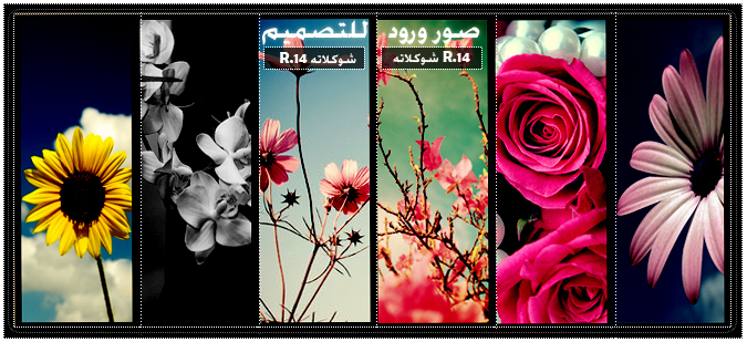 9403alsh3er.jpg
