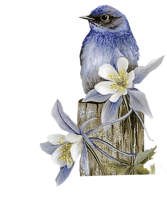 3.gif