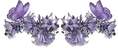 54.gif