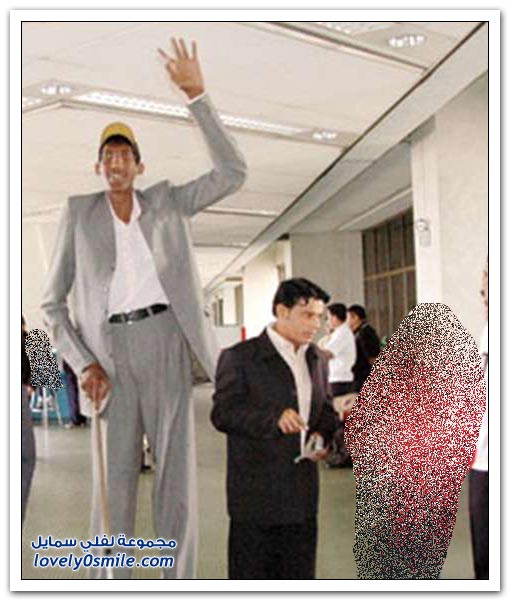 91.jpg