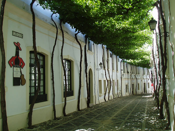 158.jpg