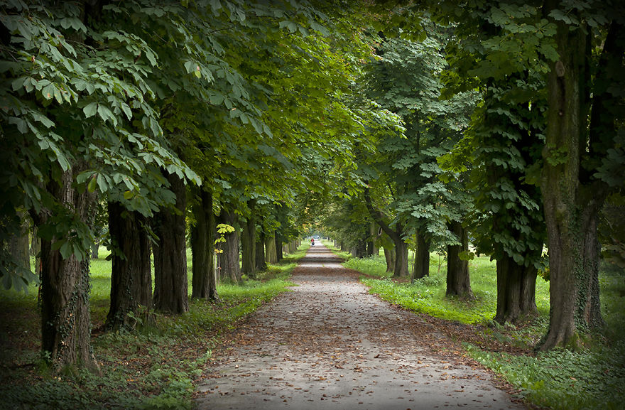 167.jpg