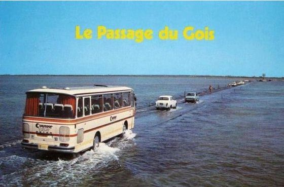 109.jpg