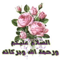 4.gif