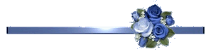 5.gif