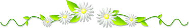 40.gif