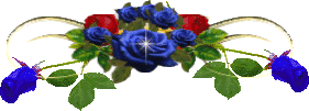 9.gif